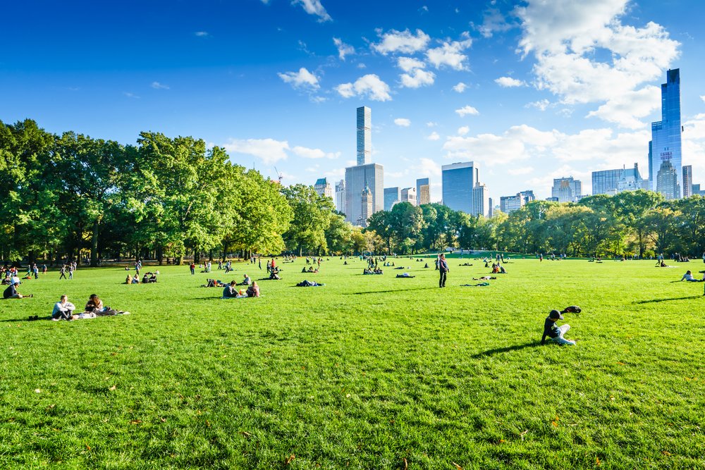 people laying on green grass