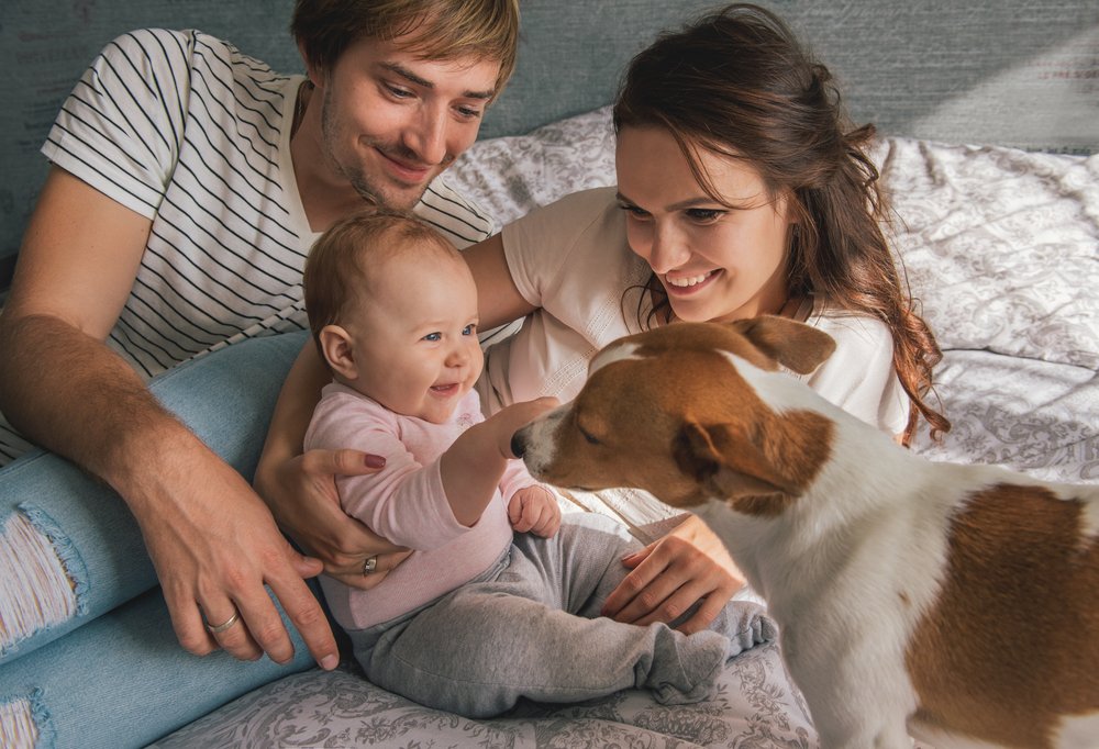 Happy family with cute baby playing with jack russel dog