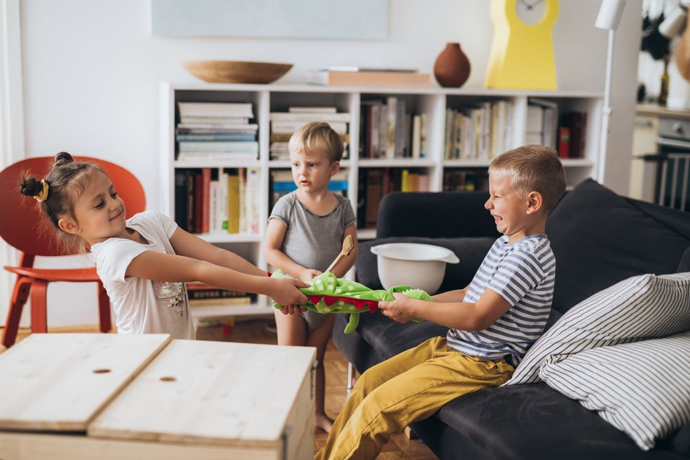 kids are fighting over toys at home